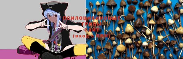 мяу мяу кристалл Зеленокумск